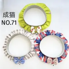 Item thumbnail for item 82a087b1-d29b-46e5-b9fa-f944bfbc1fb5