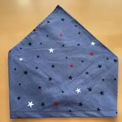 Item thumbnail for item 43e20dfd-b490-4f83-b658-14e385289257