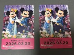 リゾラ フリーきっぷ　ディズニーランド