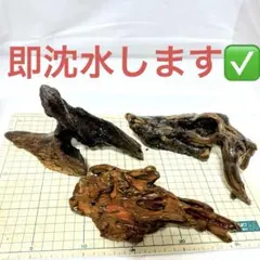 す*ー様 不規則形状 流木3点セット① 【即自然沈水します】