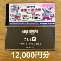 2026年最新】ヴィレッジ.ヴァンガード株主優待券12000の人気アイテム