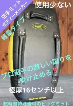 BODY MAKER 空手 格闘技 ビッグミット　極厚　厚さ16センチ　軽量