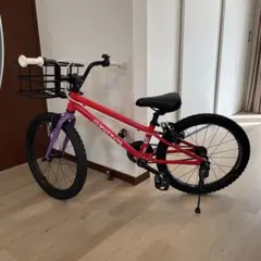 【引き渡し限定】ヨツバサイクル20インチ カスタム屋内保管　純正スタンドのサムネイル