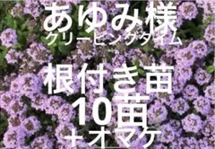 あゆみ様 リクエスト 3点 まとめ商品