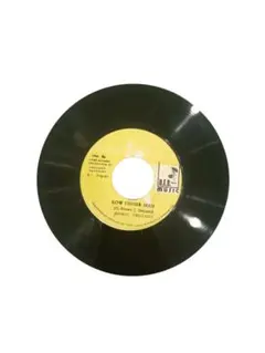 希少 オリジナル盤 ビンテージ ALTON ELLIS 12inch レコード 希少 オリジナル盤 ビンテージ ALTON ELLIS 12inch レコード - メルカリ