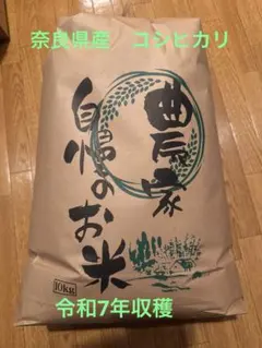 2025年度産 伊賀米 コシヒカリ 美味しいお米 10kg 白米（三重県