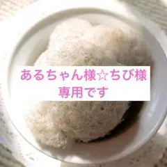 あるちゃん様☆ちび様☆専用です