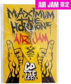 マキシマムザホルモン AIR JAM 2026 MTH PROOF PICK - メルカリ
