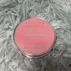 JUNG SAEM MOOL　アーティスト クッション ブラッシュ　レアローズ