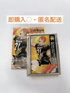 ハイキュー　ステータス カード コレクション　日向 翔陽