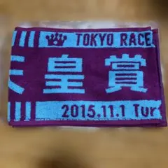 応援フェイスタオル スティンガーグラス 宝塚記念 出走阪神競馬場現地 