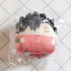 くじメイト　ハイキュー!! ぬいくじ　E賞　てのりんずコレクション　黒尾鉄朗