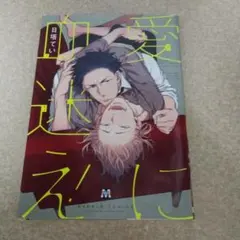 愛に血迷え!