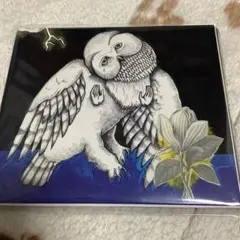 The Magnolia Electric Co. Songs: Ohia CD