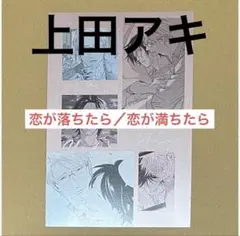 drap 応募全サ◆モノクロメタリックカード／上田アキ「恋が満ちたら」