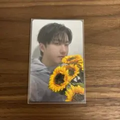 【即時購入可】Stray Kids チャンビン トレカ　バンテリンドーム　名古屋