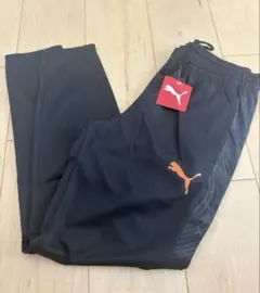 Item thumbnail for item 34b1c816-e8d6-43ef-bb8e-31ca1997529a