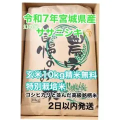 玄米】令和7年 昔ながらの「稲架掛け米」天日干し ササニシキ 10Kg