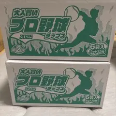 プロ野球 2025 第2弾 カードセット