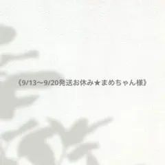 《9/13〜9/20発送お休み★まめちゃん様》専用
