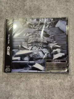 StrayKids GIANT 新品未開封×13枚セット