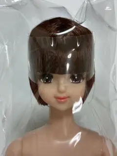 リカちゃんキャッスル 27BDおたのしみドール エリカ ジェニーフレンド