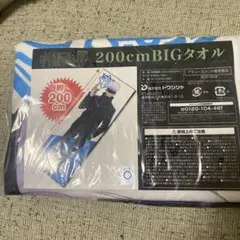 Item thumbnail for item a6bb675d-cc9c-47f4-bedd-dd2376843440