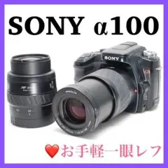 ⭐️SONY ソニー α55 DT 18-55mm☆ショット数11698☆ - メルカリ