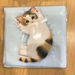 子猫がへそ天でごろ〜んタオルハンカチのサムネイル