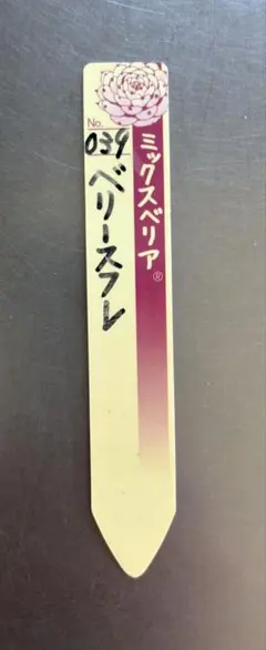 ぺったん 札のみ ミックスベリア おらいさん苗 多肉植物 - メルカリ