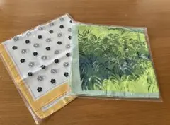 Item thumbnail for item 85b8dd2f-89ed-4280-9f5c-822a50412bc5