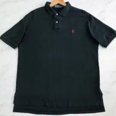 【希少】 ポロ バイ ラルフローレン ポロシャツ ニット ポニー ネイビー L