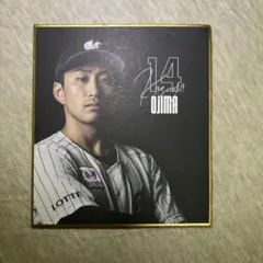 荻野貴司　千葉ロッテマリーンズ　記念限定パネル 千葉ロッテマリーンズ 荻野貴司 2025シーズンビジュアル ミニ色紙