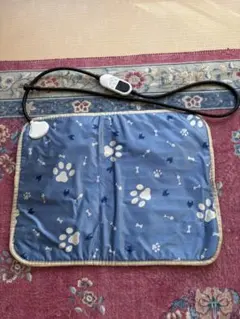 Item thumbnail for item bc4fcee5-2feb-4079-bdc2-f46187942796