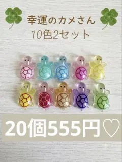 【期間限定】韓国　幸運のカメさん20個555円