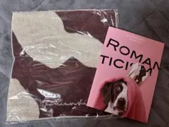 Mrs.GREEN APPLE ロマンチシズム CD