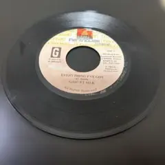 GARNET SILK / EVERYTHING I'VE GOT 7インチ