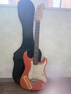 BUSKER'S　エレキギター　ケース付属品付き　美品 Venus 07-E Black 防水 エレキギターケース ギグバッグ | REAL MISSION