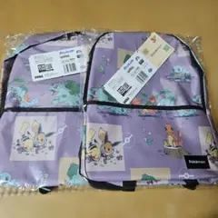 ポケットモンスタープラチナムザッカリュック～カントー地方～B