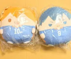 ハイキュー!!　くじメイト　ぬいくじ　C賞　日向翔陽　影山飛雄