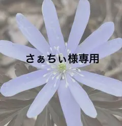 【さぁちぃ様専用】　ビーズネックレス