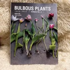 BULBOUS PLANTS