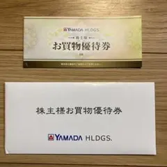 ヤマダ電機　お買物優待券　6枚　3,000円分　2026年6月末まで