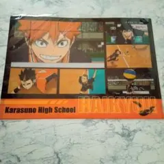 ハイキュー！！クリアファイル