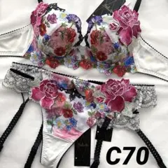 ☆新品 C70 L サルート 63G ブラ＆ソング セット IV - メルカリ