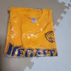 にゃん様　専用