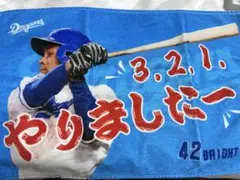 中日ドラゴンズ　シークレット選手ミニフェイスタオル