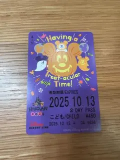 【使用済】2009年度 ディズニーリゾートライン 切符 パス リゾラ 使用済】2009年度 ディズニーリゾートライン 切符 パス リゾラ