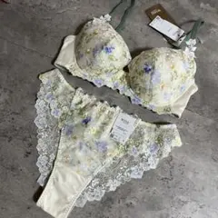 新品　ワコール　ウイングレシアージュ　ブラジャーショーツセット　C75