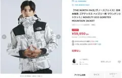 ノースフェイス ゴアテックス マウンテンジャケット 日本未発売 ペイズリー柄L